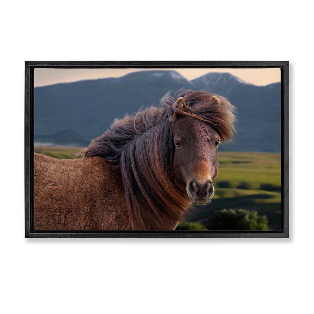 Windblown Mare in Mountain Valley by Steve Toole Black Floater Frame Animal Graphic Art Print 17 in. x 25 in. price history on PriceWatchPro