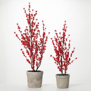 31 in. and 38 in. Potted Red Berry Tree - Set of 2, Red