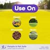 bonide-insect-killer-granules-5612-1f.3