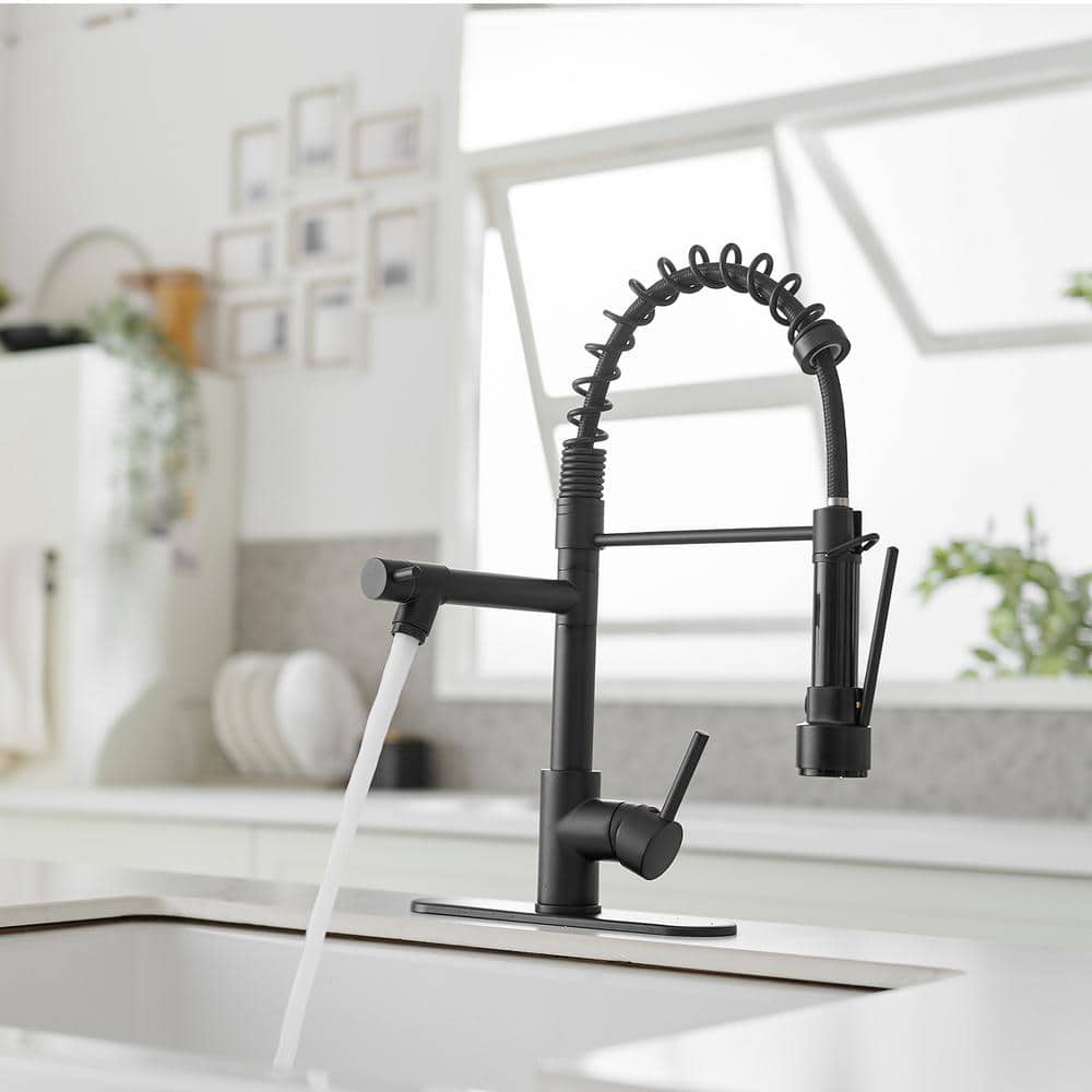 Matte Black High-Arc Kitchen Faucet with Pull-Out Spray