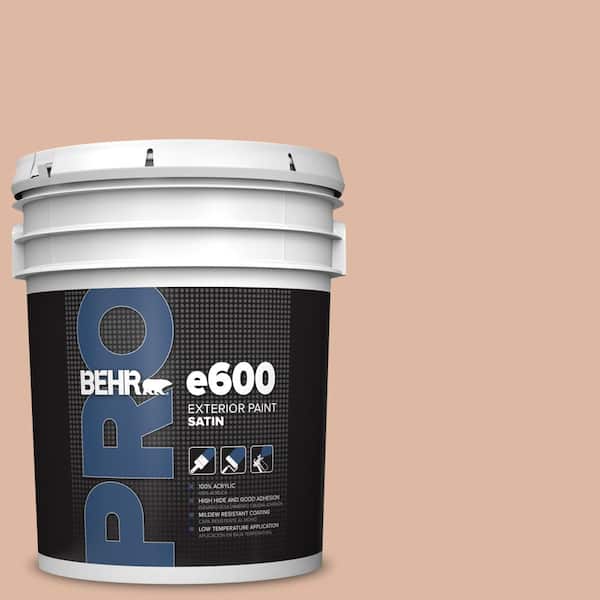 BEHR PRO 5 gal. #ECC-60-1 Coral Bay Satin Exterior Paint