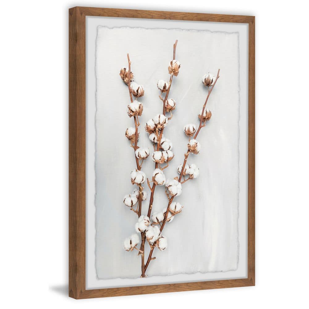 30" x 20" White Cotton Plant Framed Print