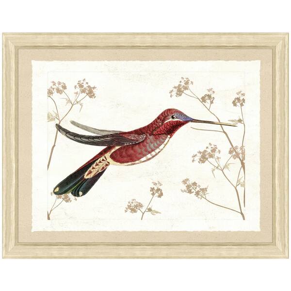 Vintage Print Gallery 22 in. x 28 in. Hummingbird Scene IV Framed Archival Paper Wall Art