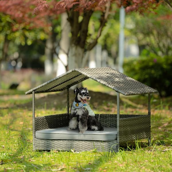 Wicker outdoor outlet dog bed