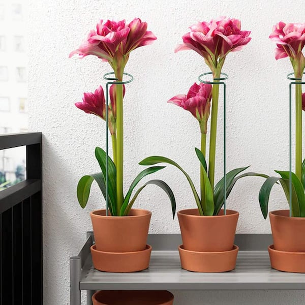 hanging planter stand Accent Decor Shelter Wall Hanging