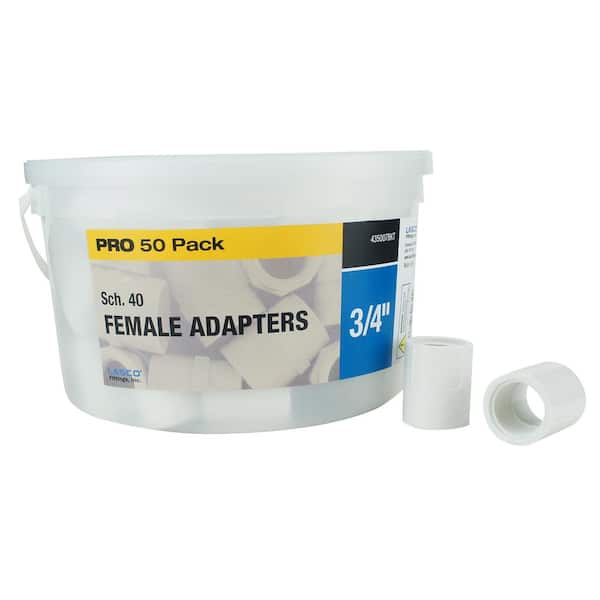 Apollo 3/4 in. Sch. 40 PVC Female Adapter (50-Pack)
