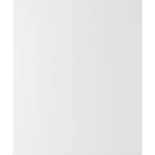 James Hardie Hardie Panel HZ10 48 in. x 120 in. Statement Collection Arctic White Smooth Fiber Cement Panel Siding