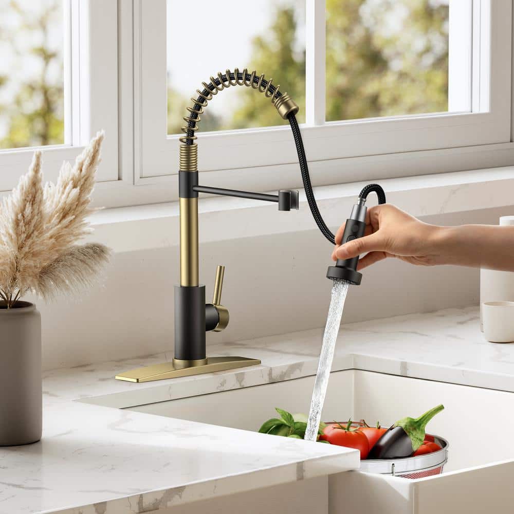 Black and Gold Stainless Steel High-Arc Kitchen Faucet with Pull-Out Spray