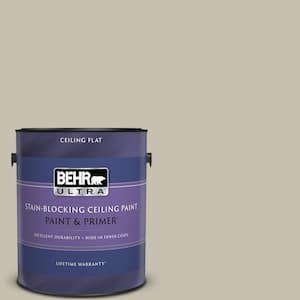 1 gal. #PPU8-17 Fortress Stone Ceiling Flat Interior Paint & Primer