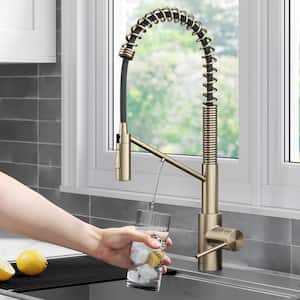 Oletto 2-in-1 Pull-Down Single Handle Water Filter Kitchen Faucet in Spot-Free Antique Champagne Bronze