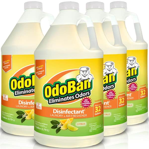 OdoBan 1 Gal. Citrus Disinfectant and Odor Eliminator, Fabric Freshener, Mold Control, All Purpose Cleaner Concentrate (4-Pack)