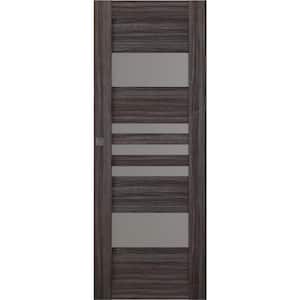 Leti 28 in. x 96 in. No Bore Solid Core 5-Lite Frosted Glass Gray Oak Wood Composite Interior Door Slab