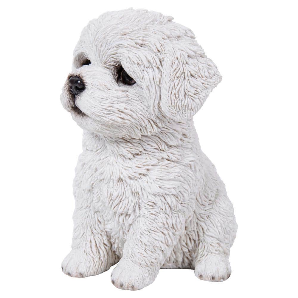 maltese_8314ページ(ざんてい) Maltese 8312 | Select A Puppy™
