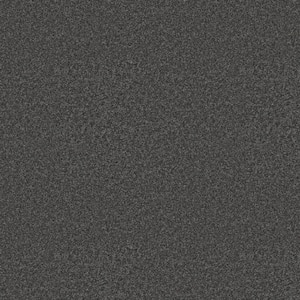 Rosemary II - Ballad-Gray 12 ft. 56 oz. High Performance Polyester Texture Installed Carpet