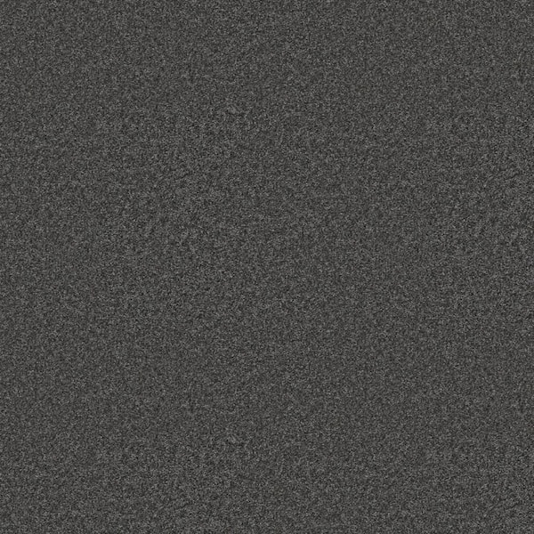 Rosemary III - Ballad-Gray 12 ft. 66 oz. High Performance Polyester Texture Installed Carpet