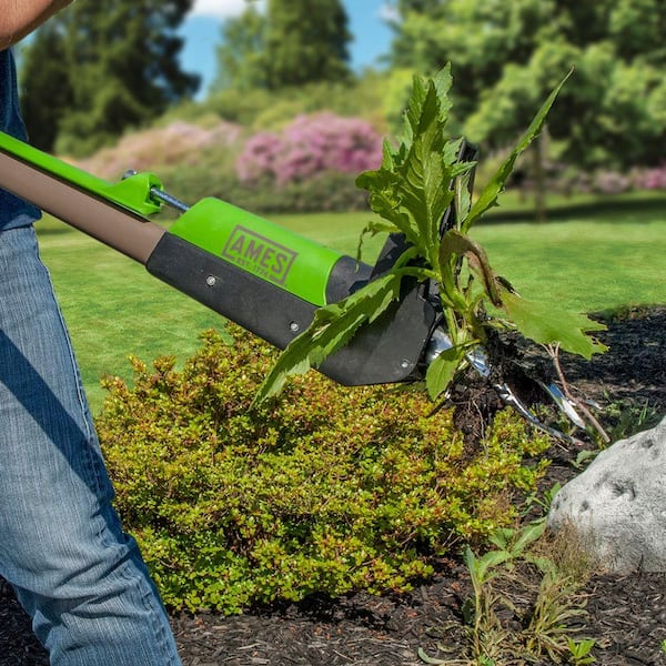 Stand-Up Weeder