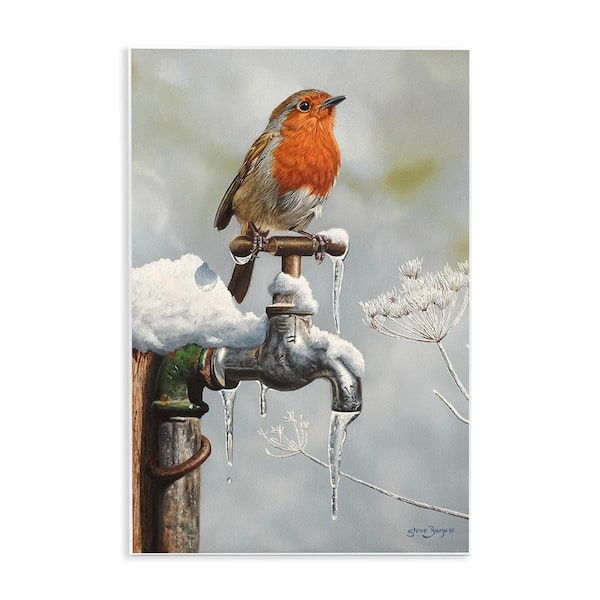 Stupell Industries Robin Bird and Winter Scene by Steve Burgess 1-Piece Unframed Graphic Print Animal Poster Art Print 19 in. x 13 in.