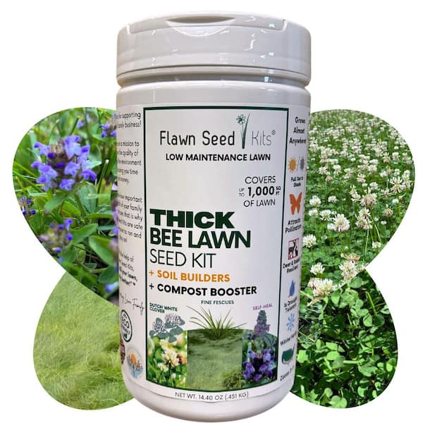 Thick Bee Flower Lawn Seed, Easy Spread Shaker, Low Mnt, Pet, Kid, Eco-Friendly, Regenerative, Covers Up to 1000 sq. ft.
