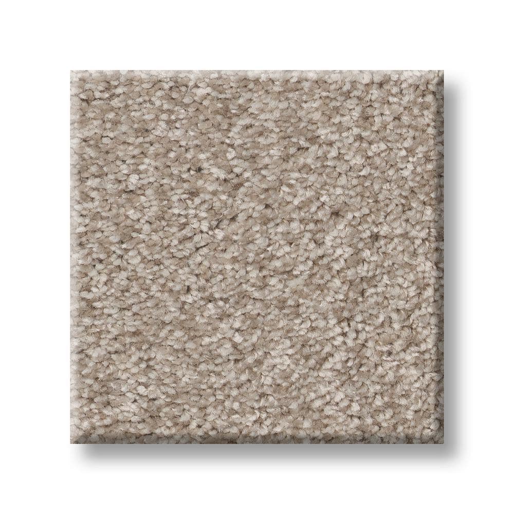 8 in. x 8 in. Texture Carpet Sample - Rosemary I -Color Aster price history on PriceWatchPro