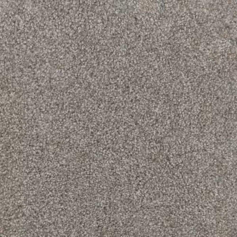 8 in. x 8 in. Texture Carpet Sample-Trestle I-Color Union price history on PriceWatchPro