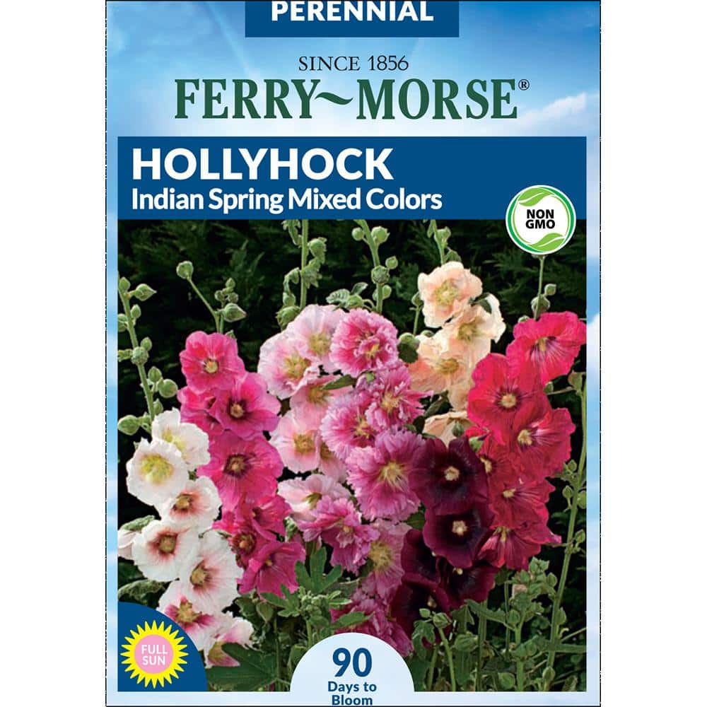 Ferry-Morse Hollyhock Indian Spring Mixed Colors Flower Seeds 5813