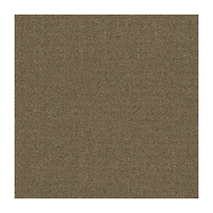24 in. x 24 in. Textured Loop Carpet - Advance -Color Biscotti