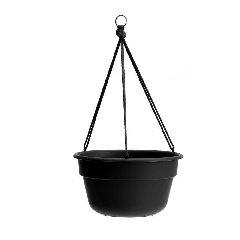 Bloem Dura Cotta 12 in. Black Plastic Self Watering Hanging Basket Planter DCHB1200 The Home