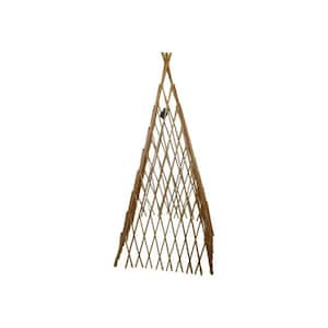 14 in. W x 60 in. H Classic Willow Expandable Trellis Teepee
