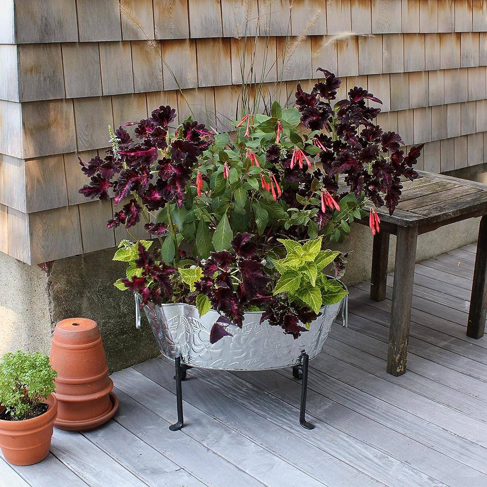 Black Wrought Iron Folding Tabletop Stand