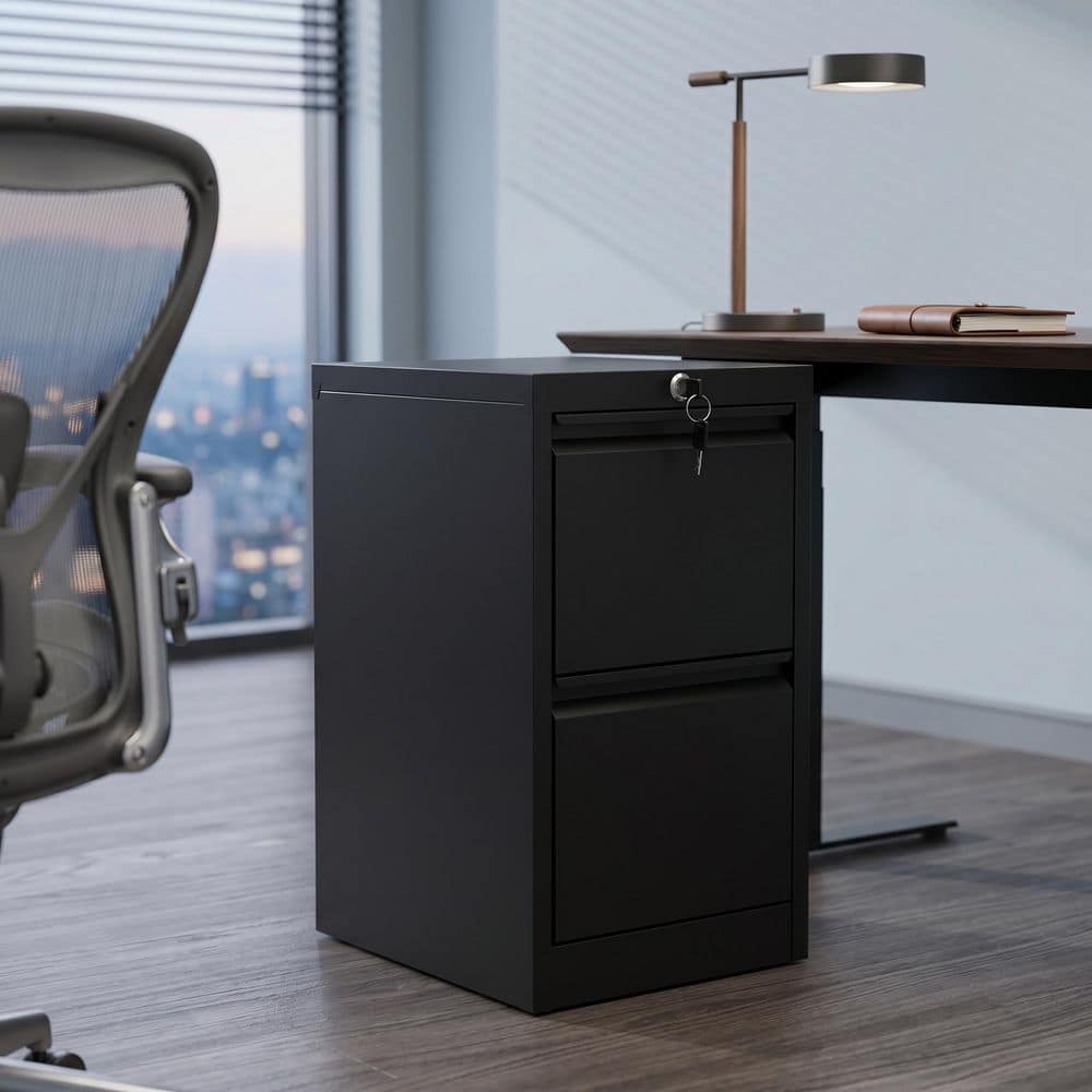 Garvee 2-Drawer Black Metal 15 in. W Vertical File Cabinet with
