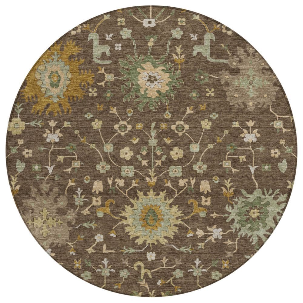 Chantille Machine Washable Indoor/Outdoor Abstract ACN2609 Chocolate 8 ft. x 8 ft. Round Rug price history on PriceWatchPro