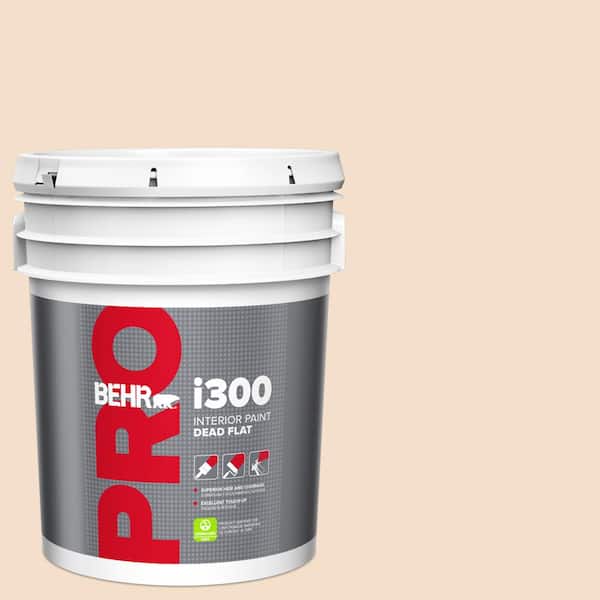 5 gal. #S250-1 Macaroon Cream Dead Flat Interior Paint