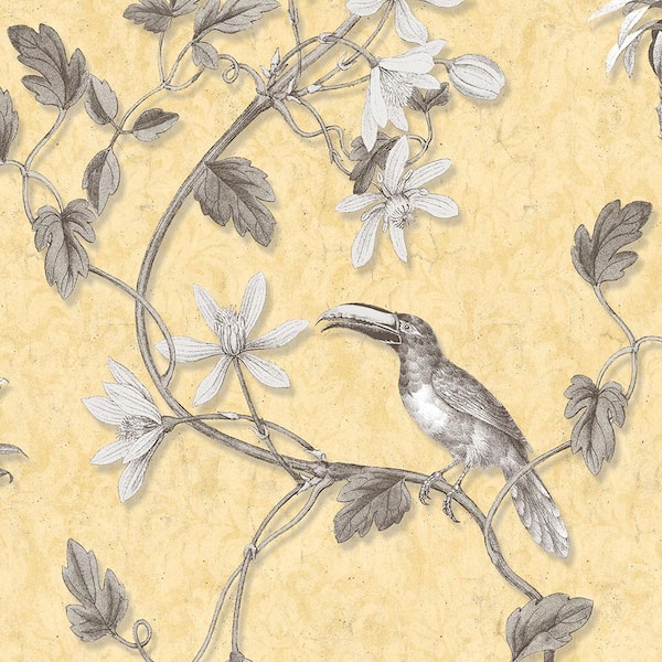 Norwall Toucan Toile Vinyl Roll Wallpaper (Covers 56 sq. ft.)