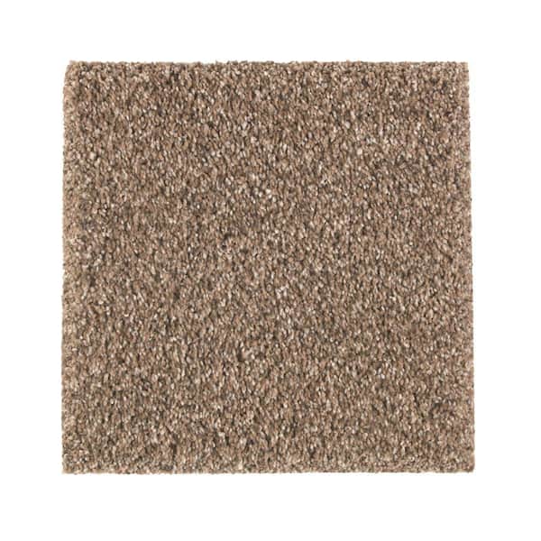 Lifeproof with Petproof Technology 8 in. x 8 in. Texture Carpet Sample - Maisie I -Color Contessa