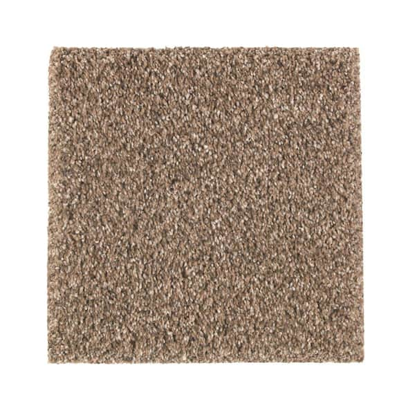 Lifeproof with Petproof Technology 8 in. x 8 in. Texture Carpet Sample - Maisie I -Color Sea Oats