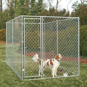 6 ft. H x 6 ft. W x 10 ft. Long Outdoor Chain Link Galvanized Steel Dog Kennel