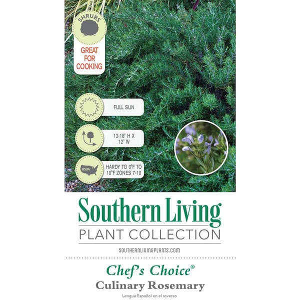 Chef's Choice® Culinary Rosemary