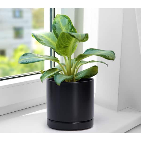 OGETFUUR 2-Pack 6.5 in. Plants Pots, Ceramic Planter Pot for