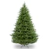 National Tree Company 6.5 ft. Norway Fir Tree PENF1-500-65