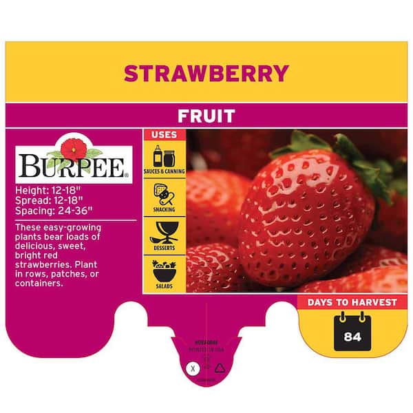 Burpee 1.0 PT Strawberry Fresca Plant 1013364391 - The Home Depot