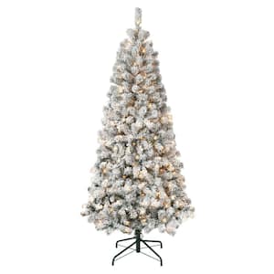 First Traditions 6 ft. Acacia Flocked Artificial Christmas Tree with Clear Lights