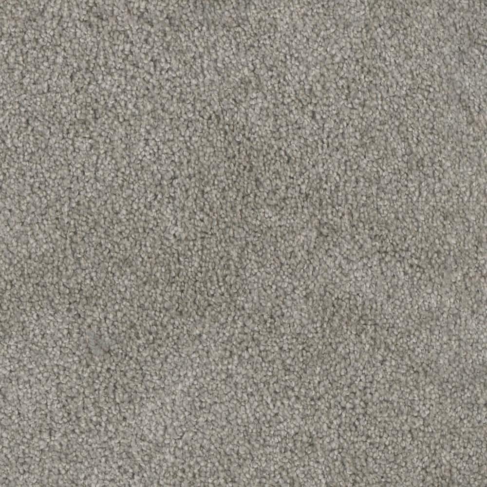 Reviews for Home Decorators Collection Affectionate II Heartfelt