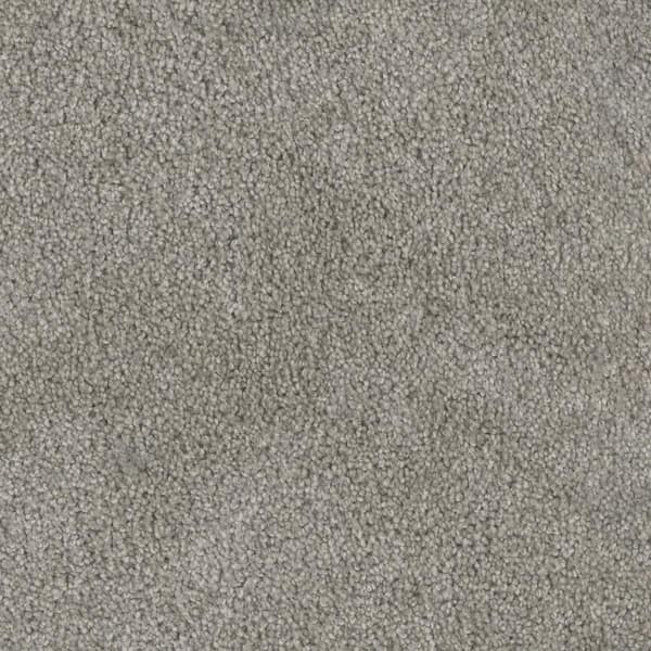 Home Decorators Collection Affectionate II - Heartfelt - Gray 55 oz. SD Polyester Texture Installed Carpet