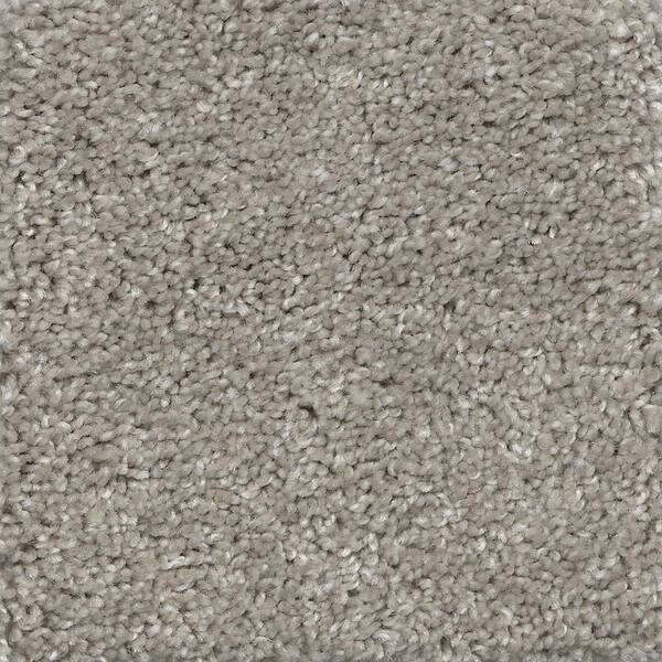 Home Decorators Collection 8 in. x 8 in. Texture Carpet Sample - Lucky ...