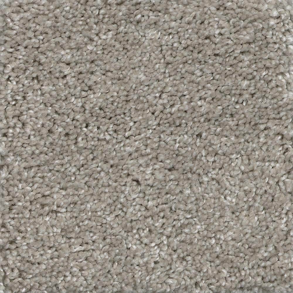 8 in. x 8 in. Texture Carpet Sample - Lucky Penny -Color Karma price history on PriceWatchPro