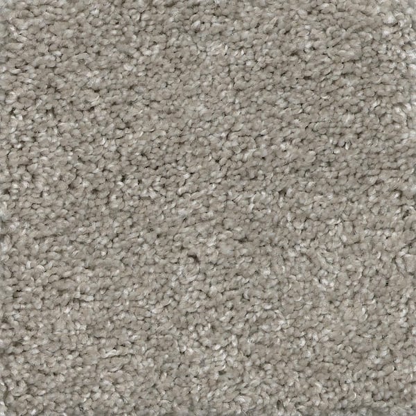 TrafficMaster 8 in. x 8 in. Texture Carpet Sample - Lucky Penny -Color Karma