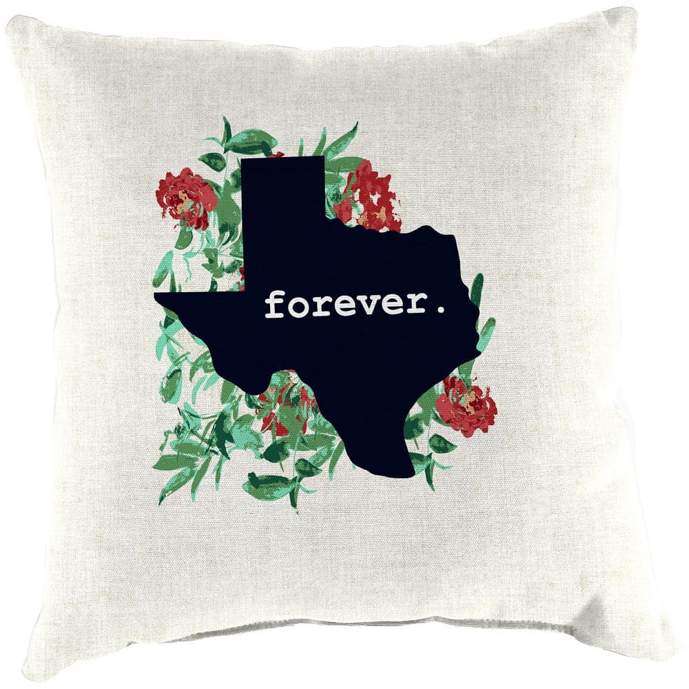 16 in. L x 16 in. W x 4 in. T Square Outdoor Throw Pillow in Texas Forever price history on PriceWatchPro