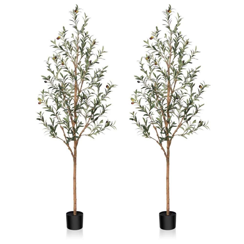 DR.Planzen 6 ft. Artificial Olive Tree, Lifelike Fruits and Natural
