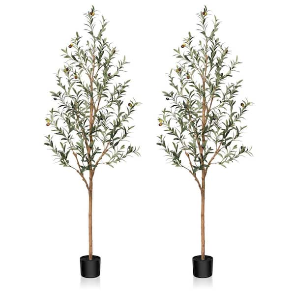 DR.Planzen 6 ft. Artificial Olive Tree, Lifelike Fruits and Natural Wood Trunk (Set of 2)