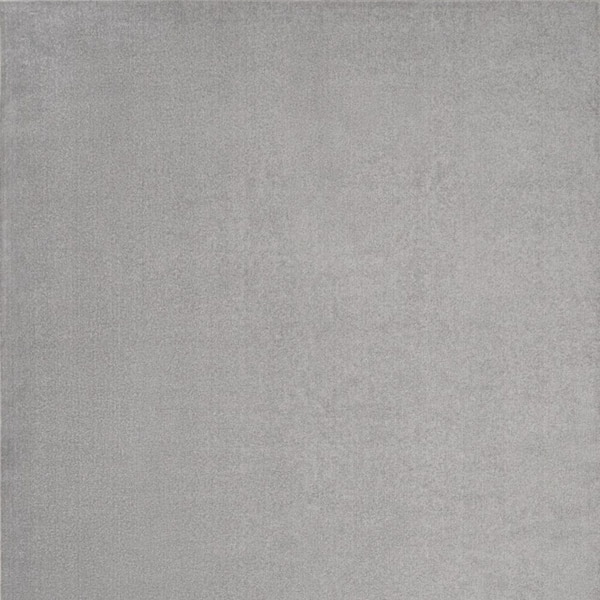 Gray 9 ft. x 12 ft. Woven Polypropylene Indoor/Outdoor Area Rug